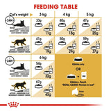 Royal Canin Persian Adult || undefined || view 7