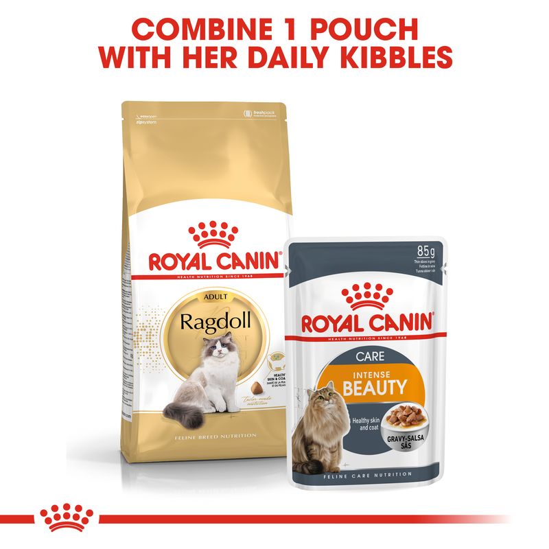 Royal Canin Ragdoll Adult || Royal Canin Breed || view 4