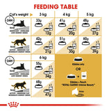 Royal Canin Siamese Adult || Royal Canin Breed || view 5