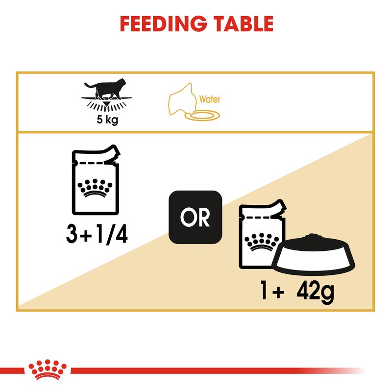 Royal Canin British Shorthair Adult in Gravy || undefined || view 5