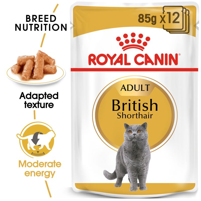 Royal Canin British Shorthair Adult in Gravy || undefined || view 1