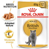 Royal Canin British Shorthair Adult in Gravy || undefined || view 1