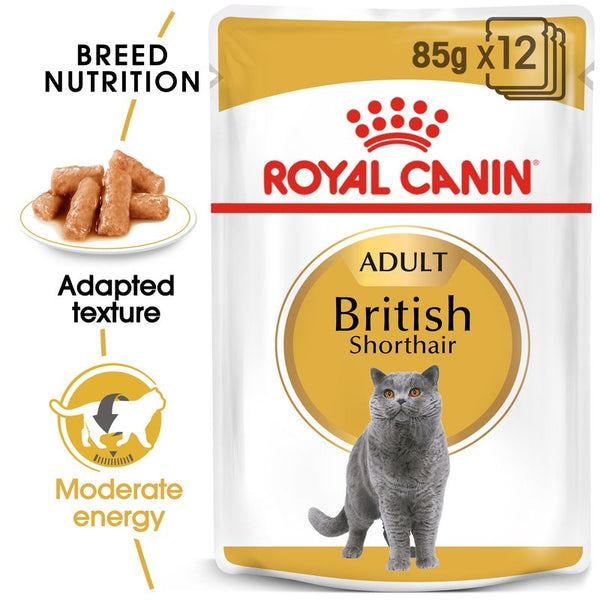 Royal Canin British Shorthair Adult in Gravy || undefined || view 1