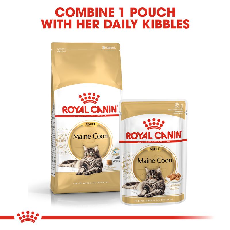 Royal Canin Maine Coon Adult in Gravy || undefined || view 4
