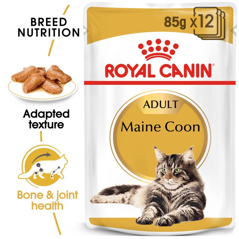 Royal Canin Maine Coon Adult in Gravy || undefined || view 1