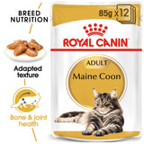 Royal Canin Maine Coon Adult in Gravy || undefined || view 1