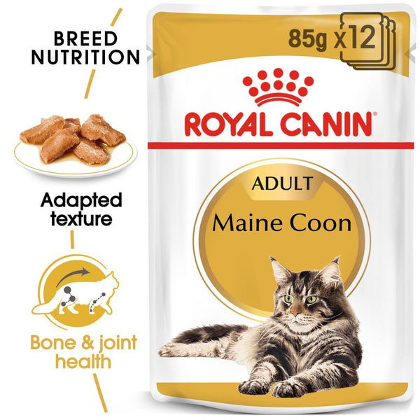 Royal Canin Maine Coon Adult in Gravy || undefined || view 1