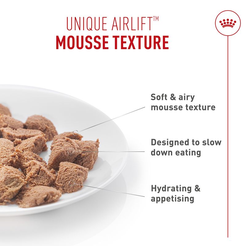 Royal Canin Digestive Care AirLift™ Mousse