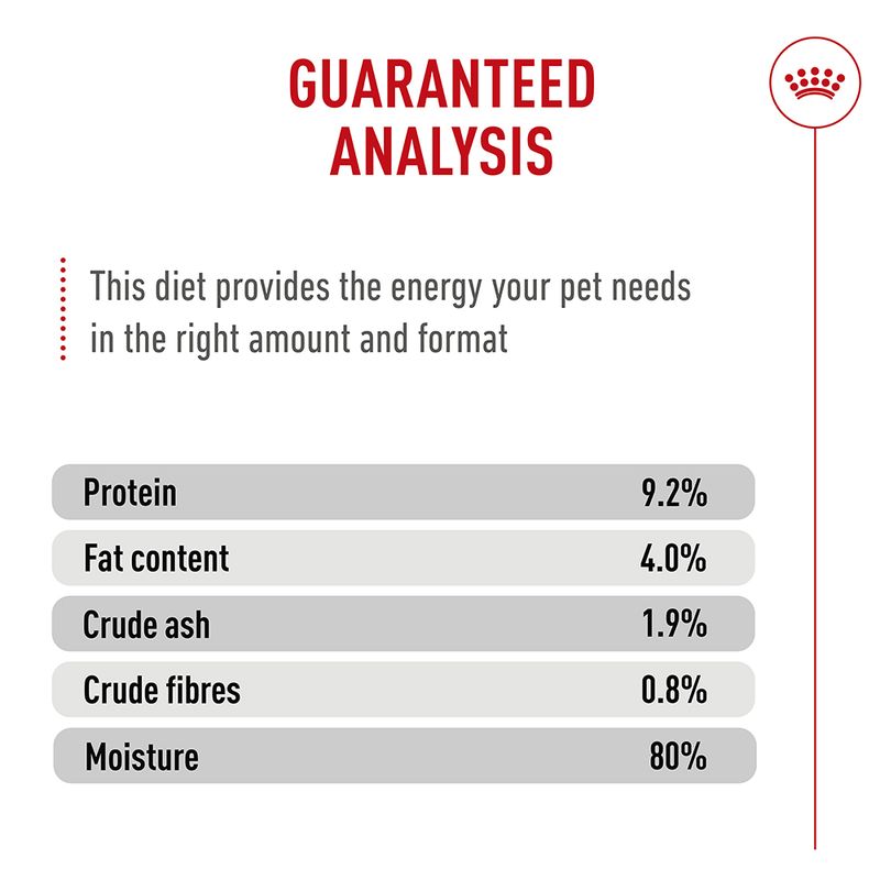 Royal Canin Digestive Care AirLift™ Mousse