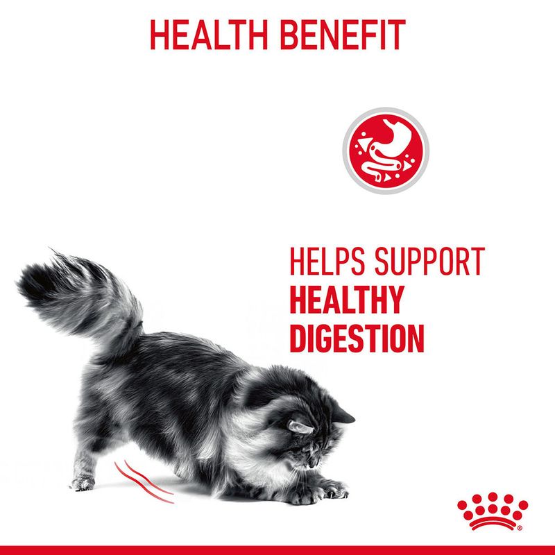 Royal Canin Digestive Care in Gravy || undefined || view 5
