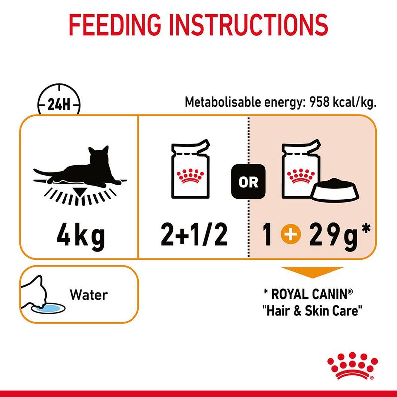 Royal Canin Hair & Skin Care in Gravy || undefined || view 9