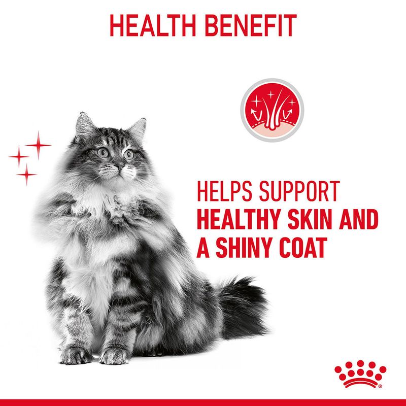 Royal Canin Hair & Skin Care in Gravy || undefined || view 5