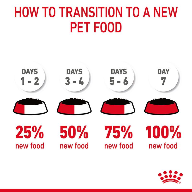 Royal Canin Hair & Skin Care in Jelly || undefined || view 11