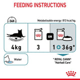 Royal Canin Hairball Care in Jelly || Royal Canin Care Nutrition || view 10