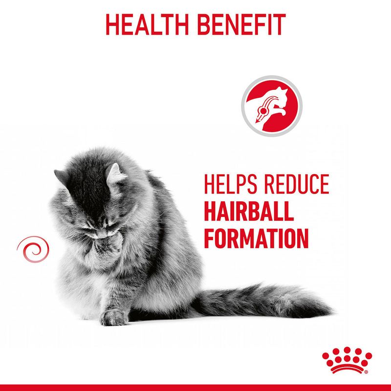 Royal Canin Hairball Care in Jelly || Royal Canin Care Nutrition || view 5