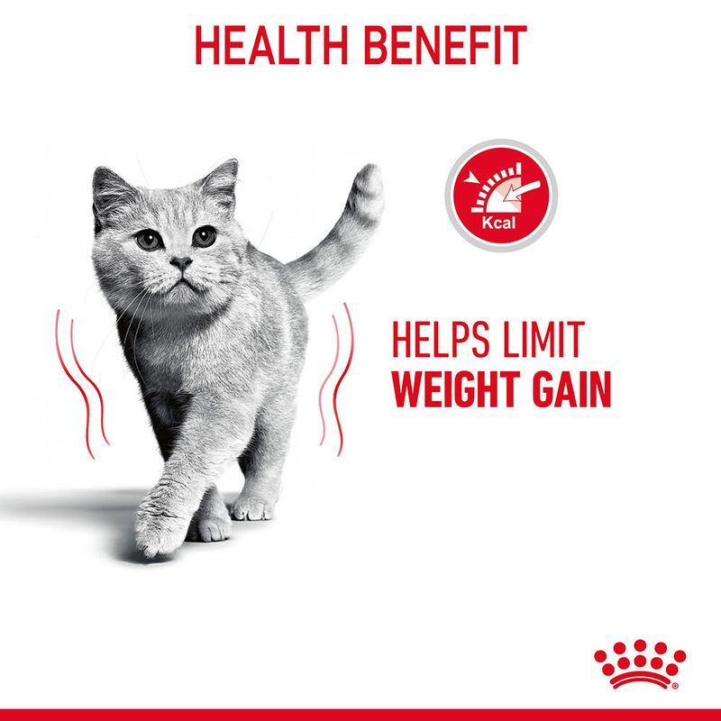 Royal Canin Light Weight Care in Jelly || undefined || view 5