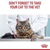 Royal Canin Light Weight Care in Gravy || undefined || view 12