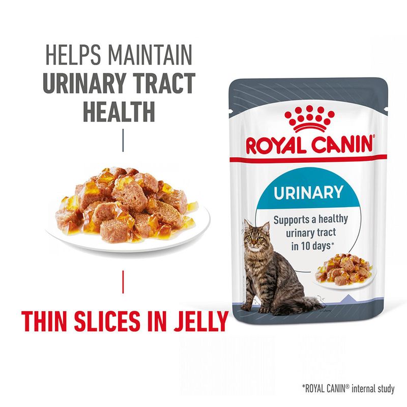 Royal Canin Urinary Care in Jelly || Royal Canin Care Nutrition || view 4
