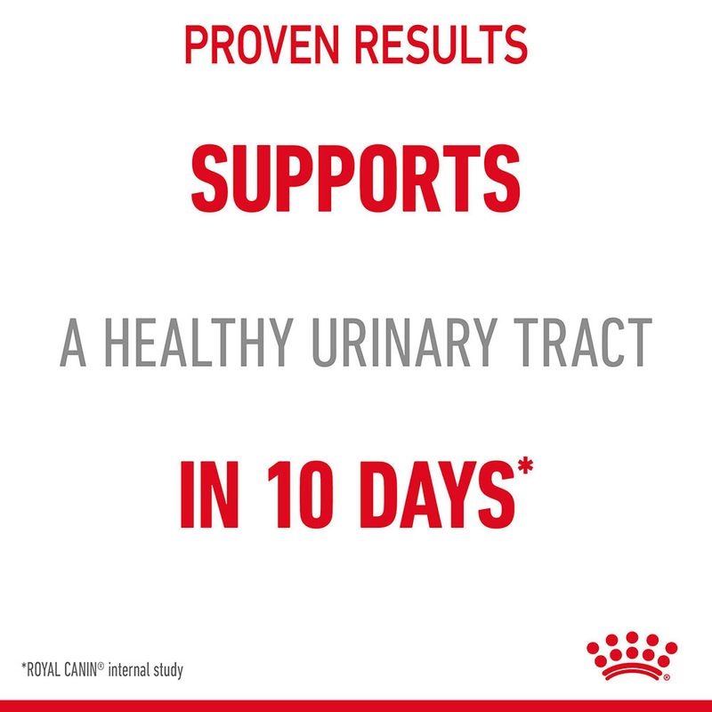 Royal Canin Urinary Care in Jelly || Royal Canin Care Nutrition || view 3