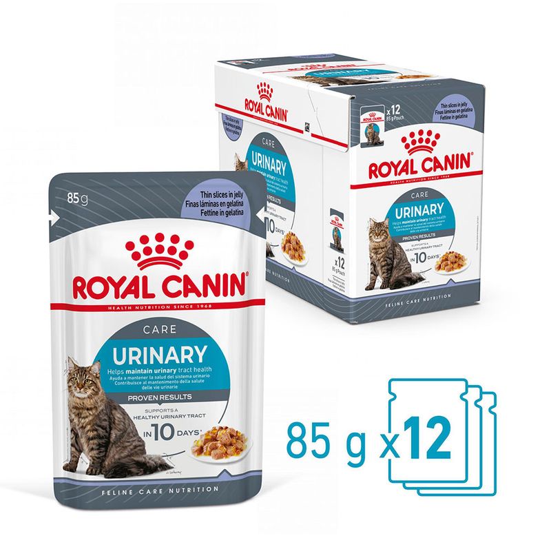 Royal Canin Urinary Care in Jelly || Royal Canin Care Nutrition || view 2