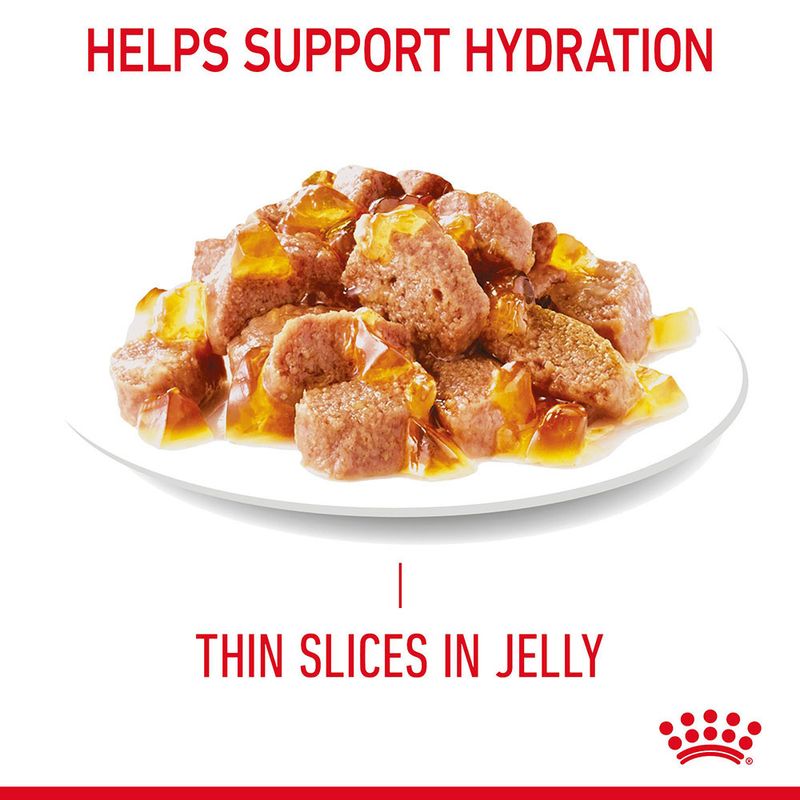 Royal Canin Urinary Care in Jelly || Royal Canin Care Nutrition || view 6