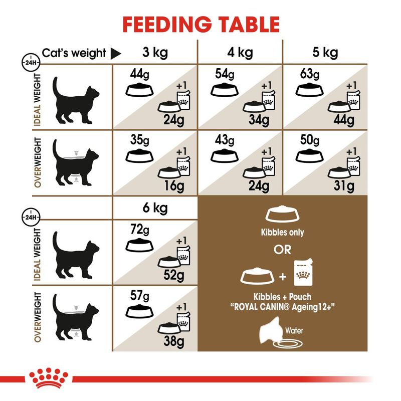 Royal Canin Ageing Sterilised 12+ || Royal Canin || view 8
