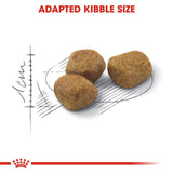 Royal Canin Regular Fit || Royal Canin || view 6