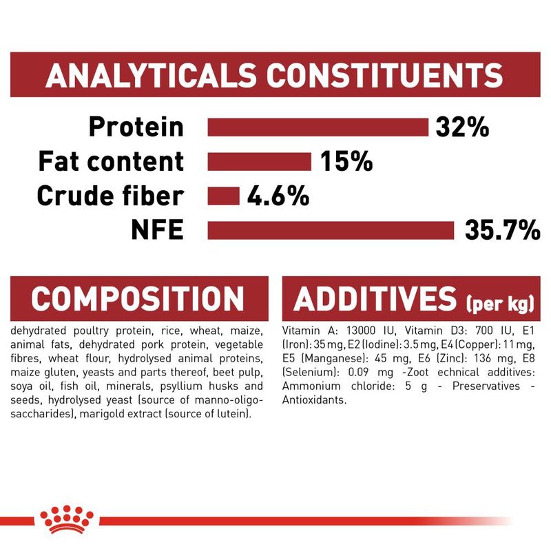 Royal Canin Regular Fit || Royal Canin || view 9