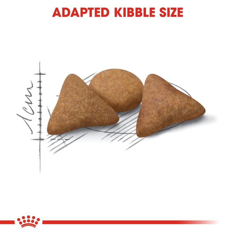 Royal Canin Indoor Appetite Control || Royal Canin || view 4