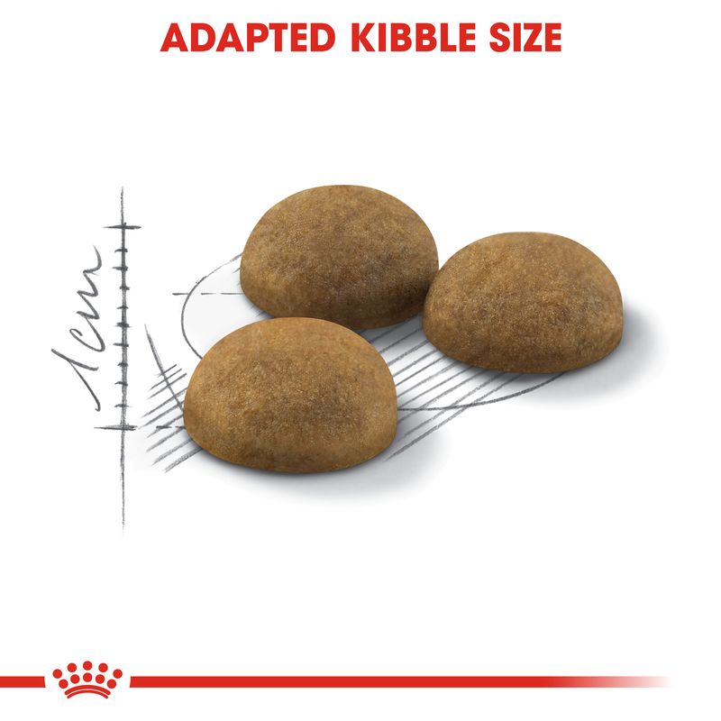 Royal Canin Indoor Long Hair || Royal Canin || view 4