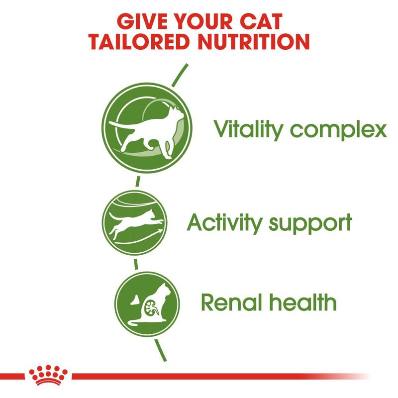 Royal Canin Outdoor 7+ || Royal Canin || view 6
