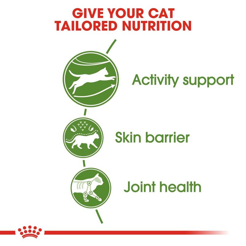 Royal Canin Outdoor Cat || Royal Canin || view 8