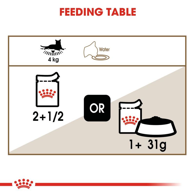 Royal Canin Ageing 12+ in Jelly || undefined || view 7