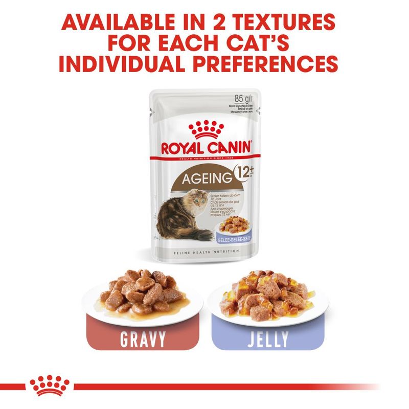 Royal Canin Ageing 12+ in Jelly || undefined || view 6