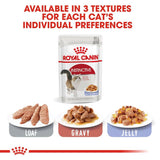 Royal Canin Instinctive in Jelly || undefined || view 5