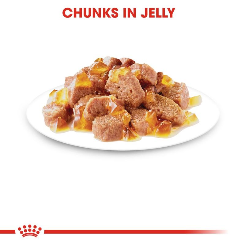 Royal Canin Sterilised in Jelly || undefined || view 3