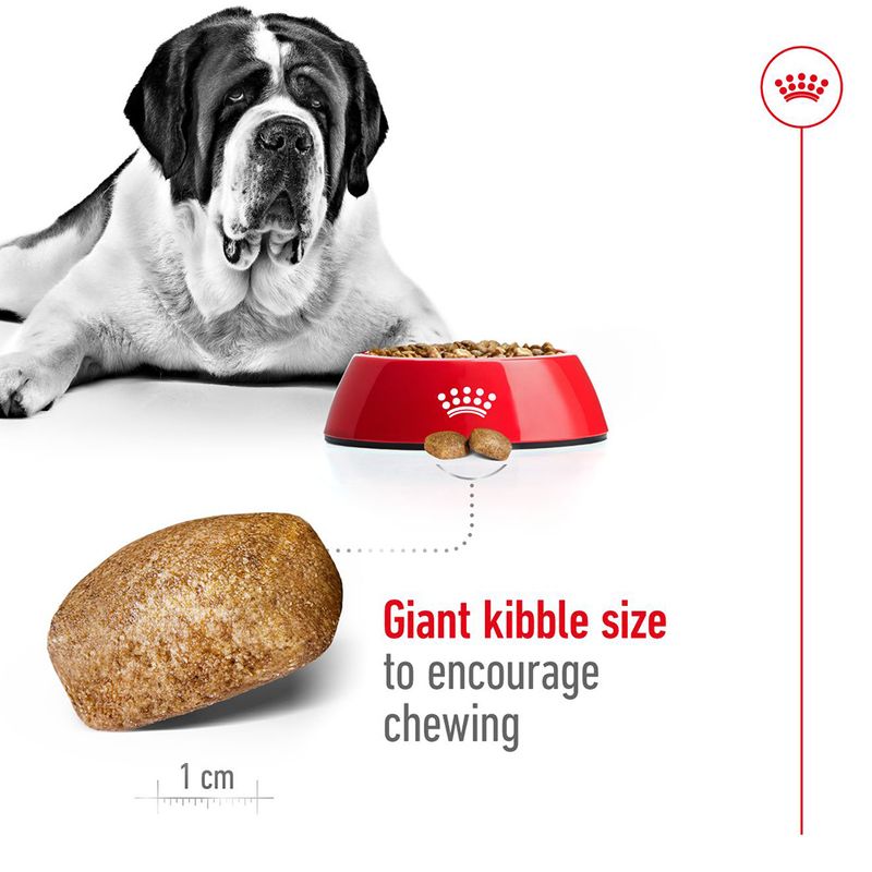 Royal Canin Giant Adult || Royal Canin Size || view 6