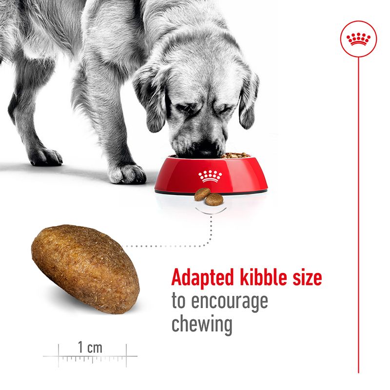 Royal Canin Maxi Adult || Royal Canin Size || view 5