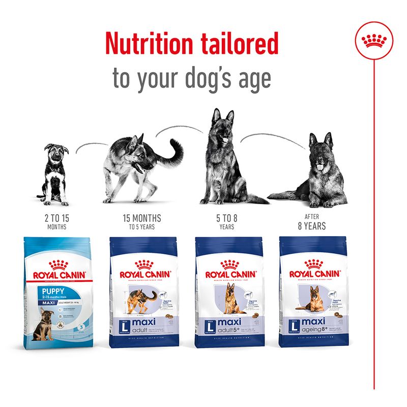 Royal Canin Maxi Ageing 8+ || Royal Canin Size || view 6