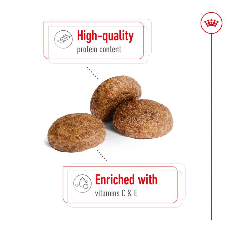 Royal Canin Medium Adult 7+ || Royal Canin Size || view 4