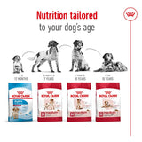 Royal Canin Medium Adult 7+ || Royal Canin Size || view 6