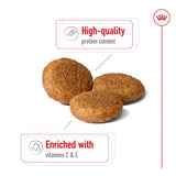 Royal Canin Medium Adult || Royal Canin Size || view 4
