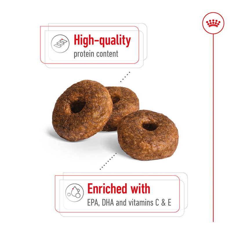 Royal Canin Medium Ageing 10+ || Royal Canin Size || view 4