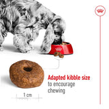 Royal Canin Medium Ageing 10+ || Royal Canin Size || view 5
