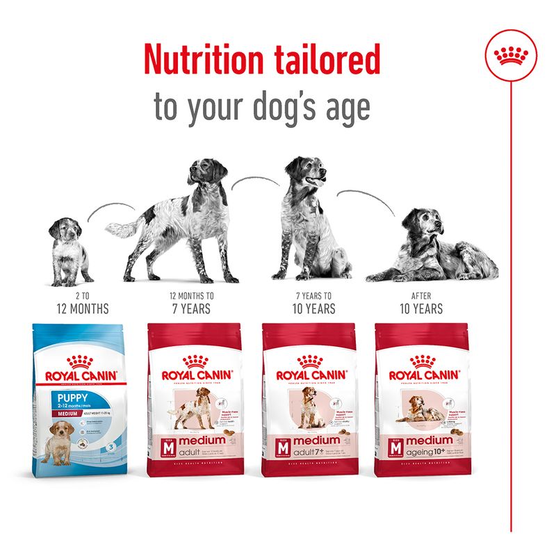 Royal Canin Medium Ageing 10+ || Royal Canin Size || view 6