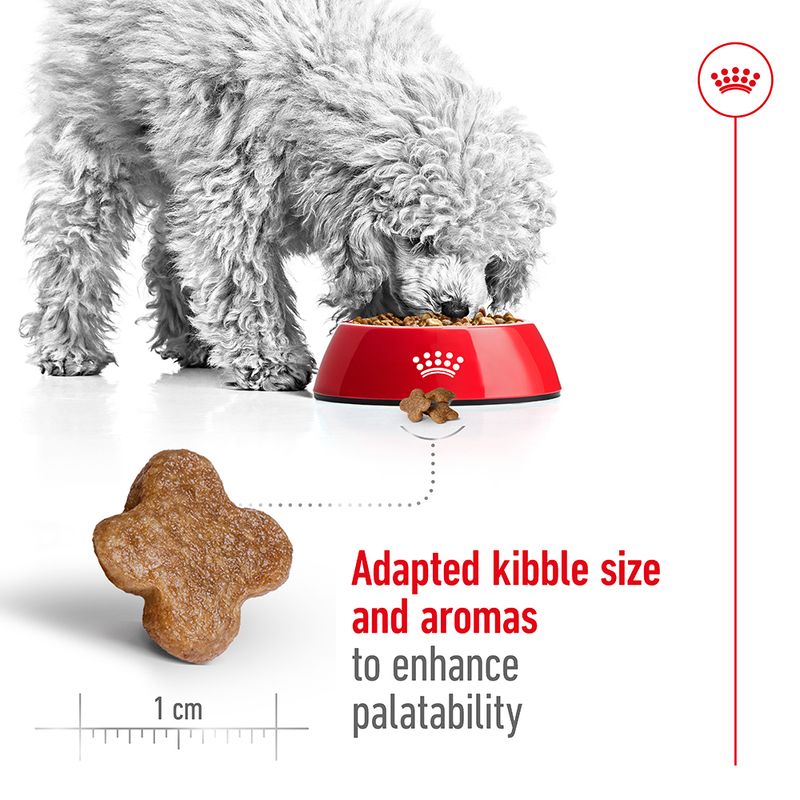 Royal Canin Mini Adult 8+ || Royal Canin Size || view 5