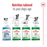 Royal Canin Mini Adult 8+ || Royal Canin Size || view 6