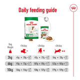Royal Canin Mini Adult 8+ || Royal Canin Size || view 10