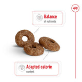 Royal Canin Mini Ageing 12+ || Royal Canin Size || view 4