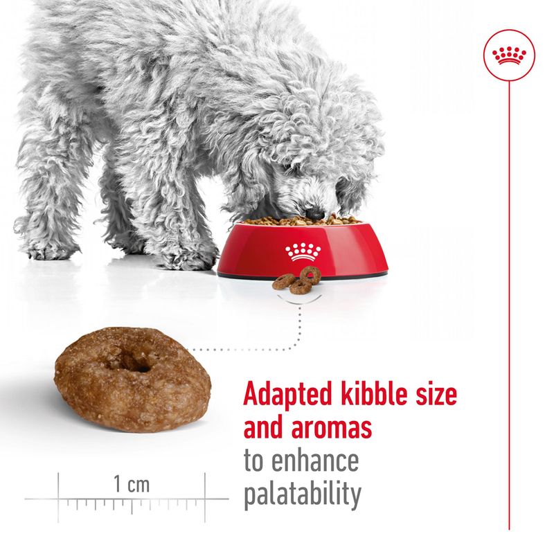 Royal Canin Mini Ageing 12+ || Royal Canin Size || view 5